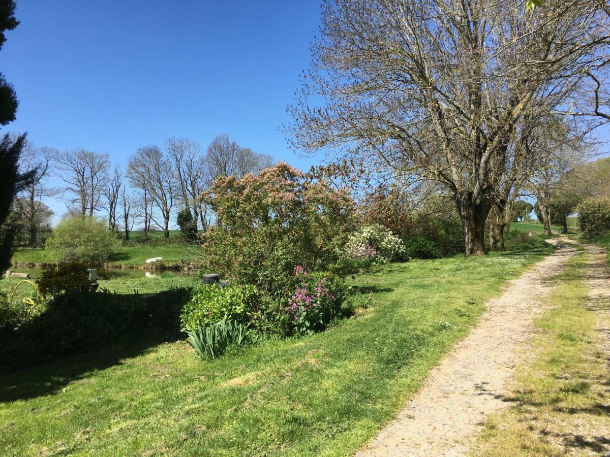 Гостевой дом L'Enquenouille Basse Verdun-en-Lauragais Экстерьер фото