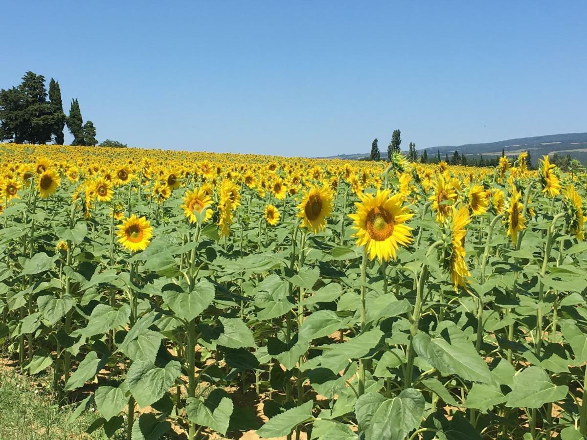 Гостевой дом L'Enquenouille Basse Verdun-en-Lauragais Экстерьер фото